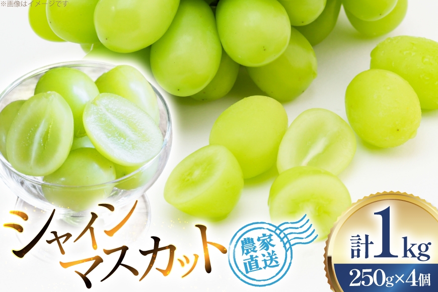 
            【期間限定発送】 シャインマスカット 粒 ジュエルボックス 250g 4個 計 1kg [安達敏幸 山形県 高畠町 tk06ays830008] 詰め合わせ 小分け フルーツ 果物 くだもの ぶどう ブドウ 葡萄 甘い
          
