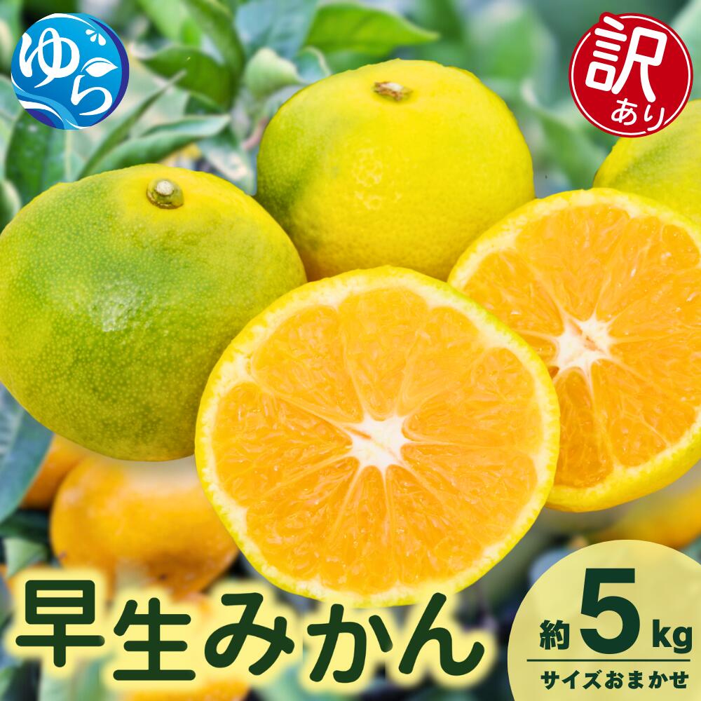 【ふるさと納税】＼レビューキャンペーン中／【先行予約】【訳あり】由良早生みかん(サイズおまかせ)約5kg【2025年11月初旬から順次発送予定】※北海道・沖縄・離島配送不可 / 温州みかん 蜜柑 ミカン 柑橘 由良町 果物 フルーツ 産地直送 和歌山県