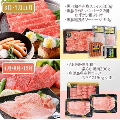 定期便4回配送　肉の定期便 EE−6016【配送不可地域：離島】【1491491】