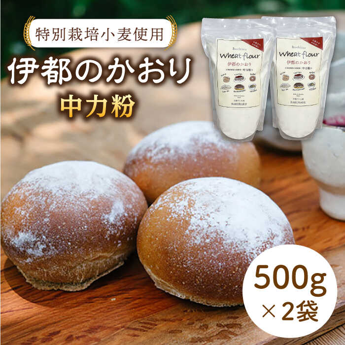 【ふるさと納税】特別栽培小麦使用「伊都のかおり」500g×2袋 ≪糸島≫【天然パン工房楽楽】小麦/中力粉/パン 【いとしまごころ】[AVC052] 9000円 9千円 常温