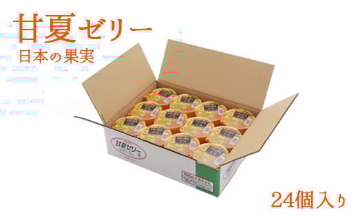 甘夏ゼリー24個セット