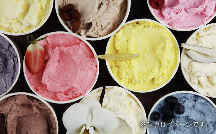 【全6回定期便】ハンドメイドアイスクリーム 食べ比べ 6個セット ( 6種 × 各1個 ) 詰め合わせ アイスクリーム 熊本 山都町 アイス【BLANCO ICE CREAM】[YCM003]