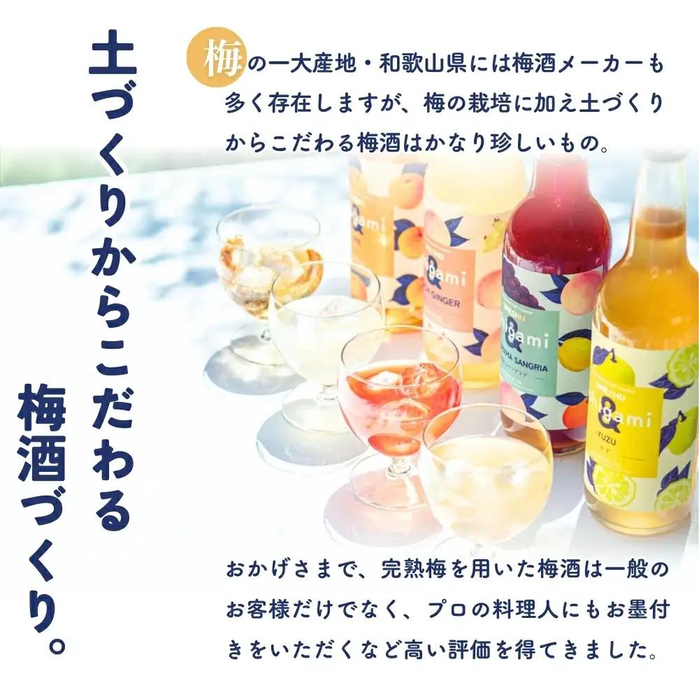 梅酒ishigami&（イシガミアンド）うめ 桃ジンジャー 2本セット / 田辺市 梅干し 梅干 梅 うめ 梅ジュース 炭酸割り 紀州産 南高梅 完熟梅 フルーツ 桃 ジンジャー【isg038-1】