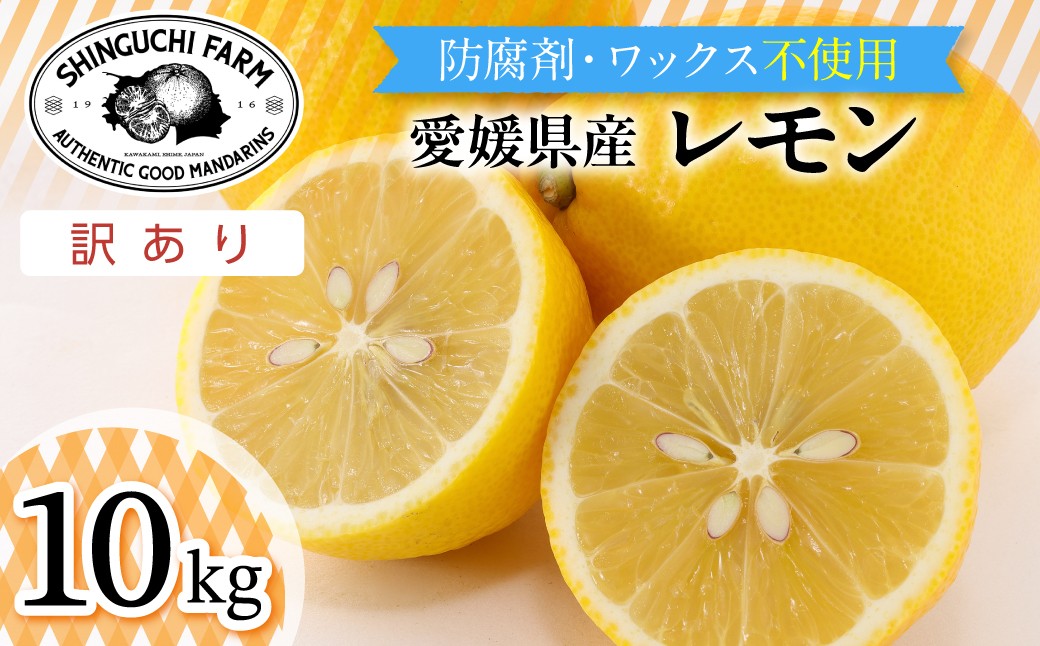 
                  ＜太陽の恵みをギュッと凝縮＞訳あり 愛媛レモン10kg 防腐剤・ワックス不使用＜F70-23＞【1470681】 YWTK023
                
