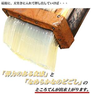 太平洋ところてん10個セット　手造り鰹だしスープで食べる高知産　関西麺業