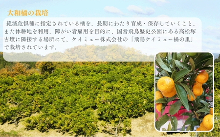 大和橘あめジュース 10本入り ならBonbon 奈良県 奈良市 なら 16-003