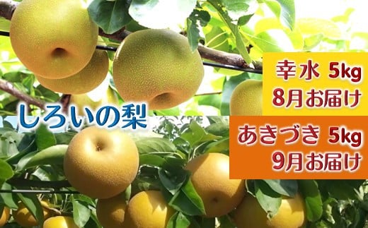 【先行予約】しろいの梨２品種セット 幸水とあきづき 各5kg