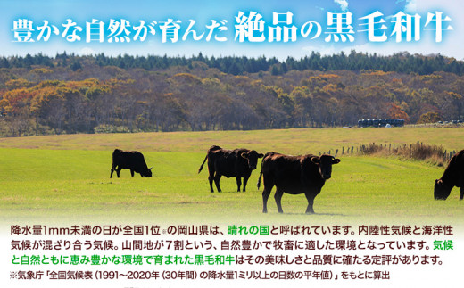 牛肉 黒毛和牛 切り落とし 500g 《30日以内に出荷予定(土日祝除く)》 岡山県 矢掛町 牛 牛肉 和牛 牛丼 カレー 小分け 小分けパック 250g 送料無料 一万 一万円 10000円