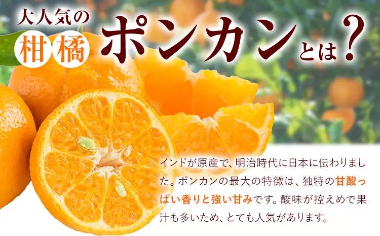 ポンカン 和歌山県産 ポンカン 約5kg