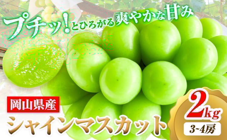 
                  【2026年先行予約】シャインマスカット 岡山県産 2kg 3房 ~ 4房《2026年9月上旬-9月中旬頃出荷》ひらた農園 マスカット 送料無料 岡山県 浅口市 シャインマスカット ぶどう フルーツ 果物 贈り物 ギフト 国産 くだもの 果物 青果物
                