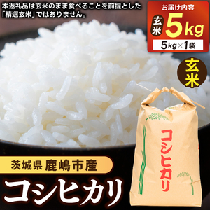 先行予約 令和8年産 米 コシヒカリ 5kg 玄米 鹿嶋市産