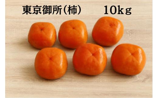 「市川さんの柿」東京御所１０ｋｇ