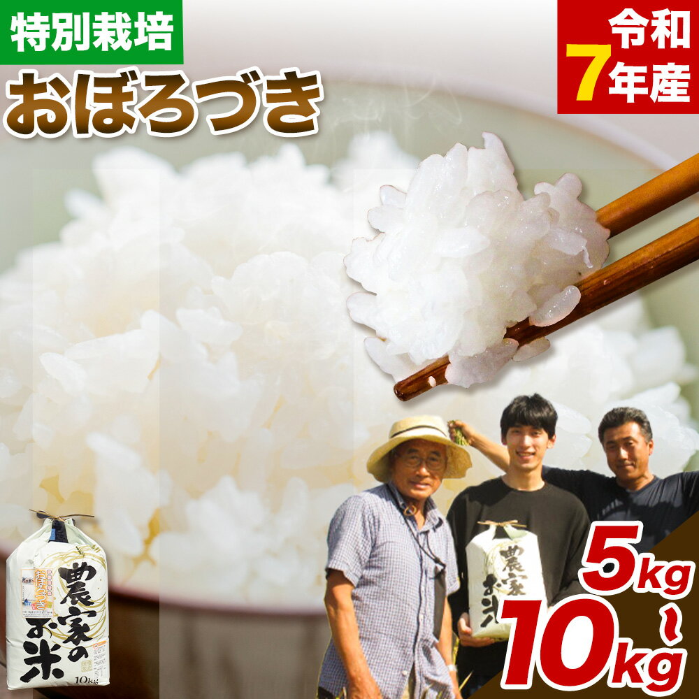 【ふるさと納税】【令和7年産先行受付】ファームふたば特別栽培米「おぼろづき」5kg 10kg 産地直送 お取り寄せ 国産 北海道産 当別町産 お米 精米 白米 弁当 ごはん ご飯 コメ おかず おにぎり 単一原料米 ブランド米 お取り寄せ グルメ 朝食