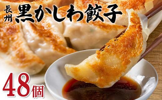 長州黒かしわ餃子 48個入り 手作り 生餃子 餃子 国産野菜  冷凍 化学調味料不使用 化学調味料無添加 らいちの餃子 黒かしわ 長州黒かしわ F6L-951