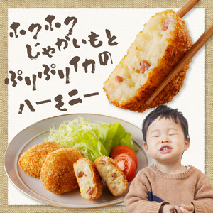 そのまま揚げるだけ！ コロッケ（イカ入り）30個セット｜丸福水産 簡単調理 お手軽 揚げ物 イカ いか 烏賊 コロッケ お惣菜 おかず 弁当 おつまみ フライ 国産 冷凍 佐賀県 玄海町 送料無料【A