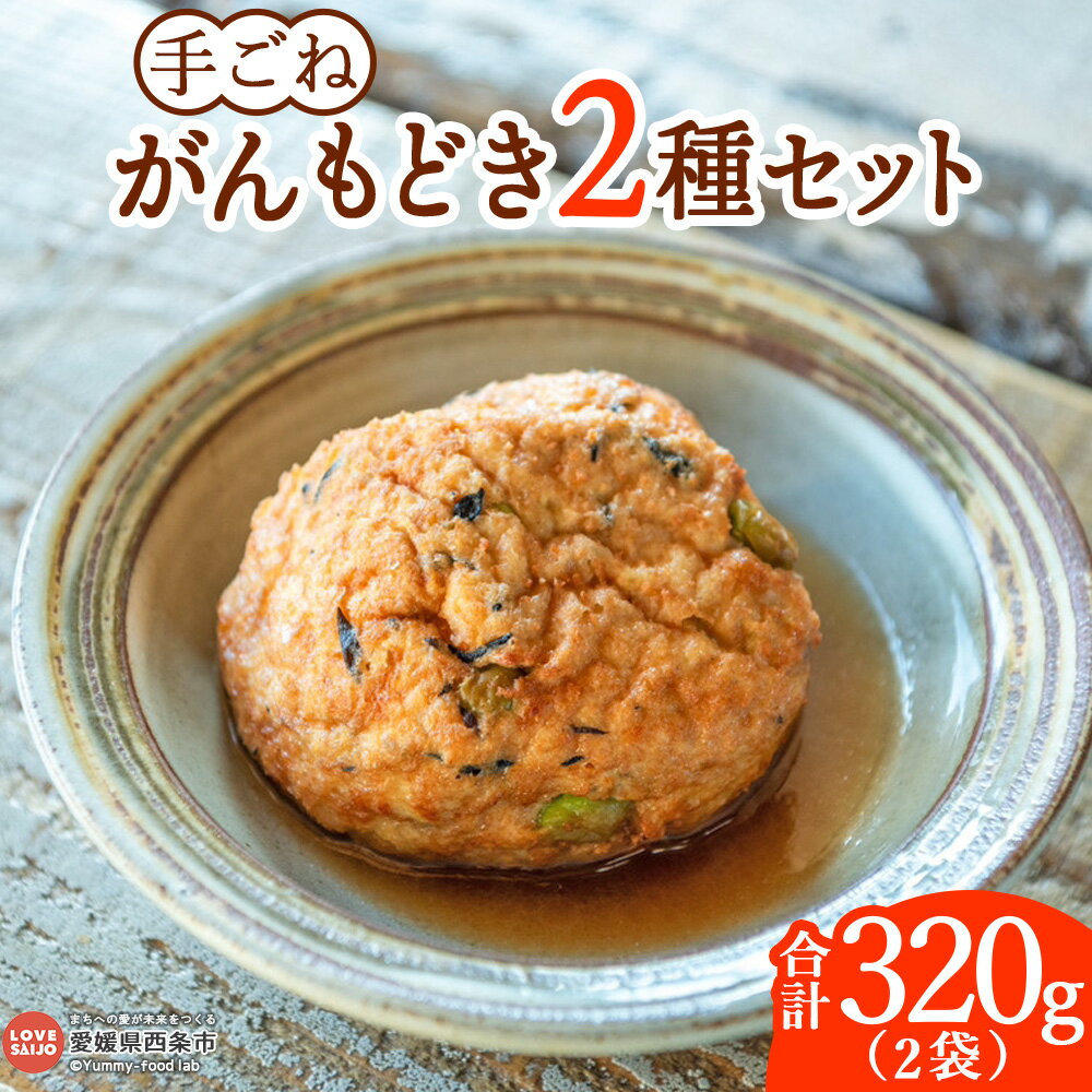 【ふるさと納税】＜手ごねがんもどき 2種セット 2袋合計320g＞※翌月末迄に順次出荷します。がんも 2種類 詰め合わせ つめあわせ 食べ比べ 手作り てづくり グルメ 和食 お出汁 ふわふわ 大豆 とうふ 煮物 国産 伝統料理 ソイリクル SOILIKKLE 愛媛県 西条市【冷凍】