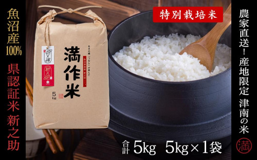 【令和8年産 先行予約】米 5kg  魚沼産 新之助 県認証米 特別栽培米 農家直送 | しんのすけ ブランド米 お米 おこめ こめ 白米 精米 小分け おすすめ ギフト プレゼント 新潟県 津南町