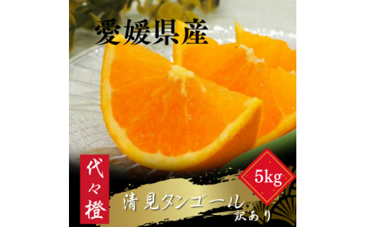＜トロッととろける果実＞＜訳あり＞清見タンゴール 5kg＜C83-16＞【1549106】
