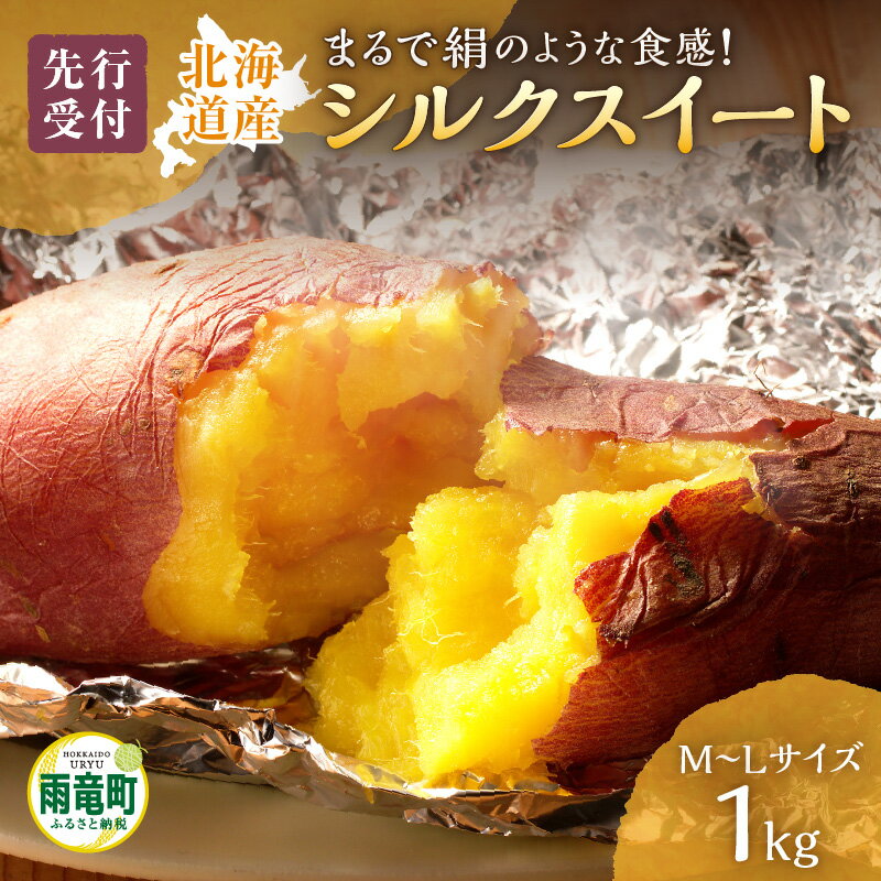 【ふるさと納税】【先行予約】【数量限定】あま～い畑スイーツ！北海道雨竜町産 さつまいも 「シルクスイート」 M-Lサイズ 1kg 芋 お取り寄せ 野菜 BBQ キャンプ ソロキャン 焼き芋 干し芋 芋 栗きんとん スイートポテト 北海道 雨竜町 送料無料