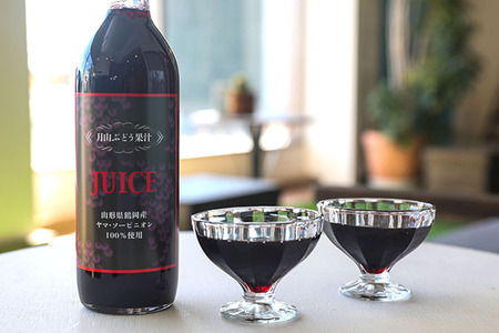 食の都庄内 月山ぶどう果汁100％ジュース 720ml×1本 濃厚 ブドウジュース ぶどう 保存料不使用