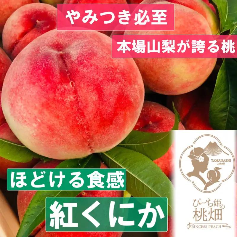 【なめらかホロホロ食感紅くにかブランド】ほどける食感がやみつき人気品種 約2kg【2026年発送】（PMK）D4-104 【紅くにか 桃 もも モモ 令和8年発送 期間限定 山梨県産 甲州市 フルーツ 果物】