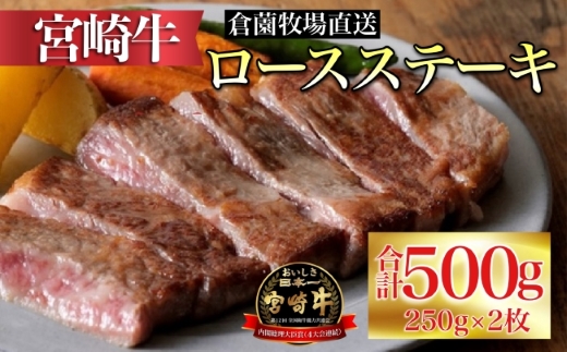 【百名店の味をご自宅で！】ビーフくらぞの・小林市産宮崎牛ロースステーキ 250g×２枚（国産 牛肉 黒毛和牛 宮崎牛 霜降り ロース ステーキ 冷凍 産地直送）