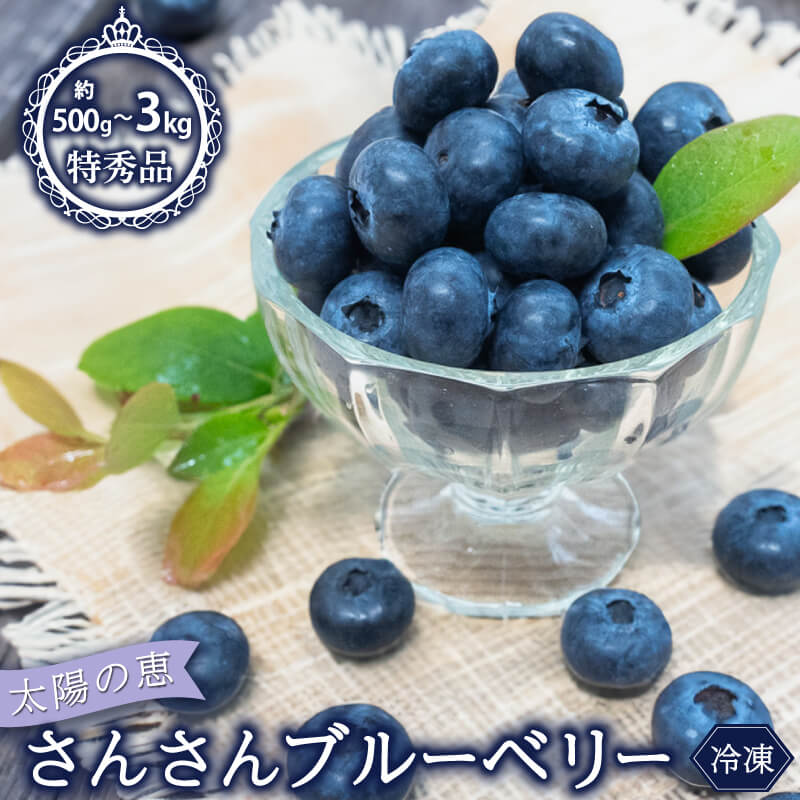 【ふるさと納税】 【早期予約開始 2026年5月末より順次発送】 ブルーベリー 特秀品 大粒 冷凍 選べる 容量 500g 1kg 2kg 3kg 大粒 冷凍 健康 食品 果物 フルーツ ベリー おやつ 加工 お菓子 製菓 シャーベット ジャム ソース スムージー におすすめ 高知県 須崎市