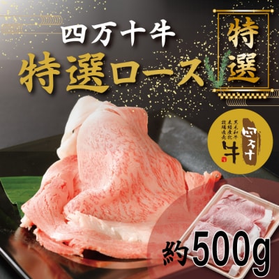 四万十牛特選ローススライス(すき焼き・しゃぶしゃぶ用)約500g R5-974