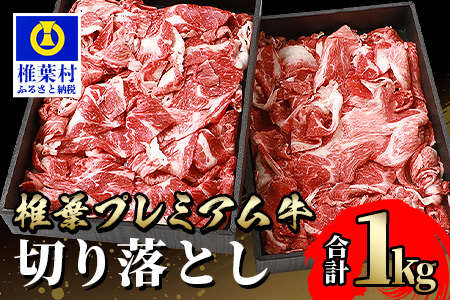 宮崎県産 椎葉プレミアム牛 切り落とし 1kg ［宮崎県 椎葉村 国産 国産牛 黒毛和牛 和牛 牛 牛肉 赤身 にく おにく 肉 お肉 a4 A4 すきやき すき焼き カレー シチュー 炒め物 焼肉 冷凍 ごちそう 贈物 日本三大秘境］【TK-49】