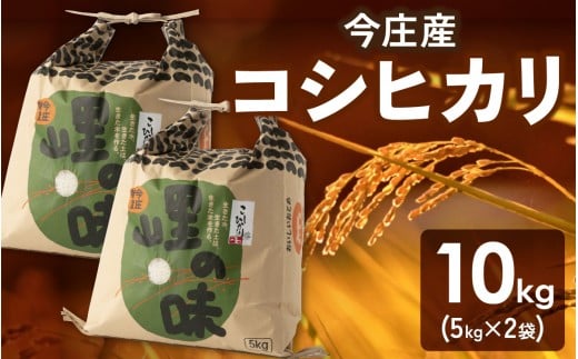 【令和7年産】朝夕の寒暖差が生む極旨のお米 今庄産 コシヒカリ 10kg(5kg×2)  こしひかり 福井 北陸 おこめ