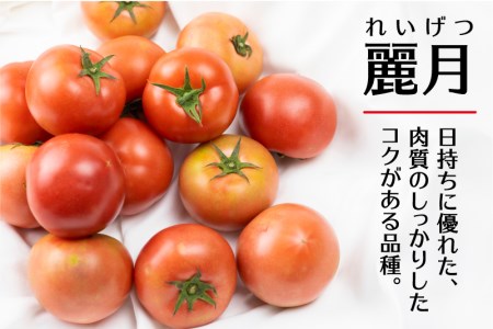 《先行予約》飛騨トマト 約2kg（8－10玉）産地直送 野菜 とまと トマト 麗月 夏野菜 やさい サトーカルチャー [Q2478]