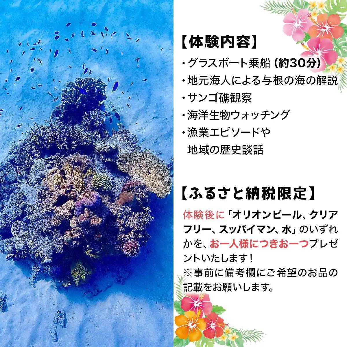 グラスボート体験 1名分