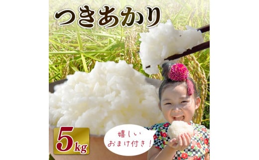 【2026年6月発送】米 つきあかり 5 kg  お米 白米 新米 白米 精米 ご飯 白 ごはん おいしい お茶 3袋 つき! 緑茶 玄米茶 やぶきた ティーパック 深蒸し茶  国産 静岡県 牧之原市 日用品 日常 便利