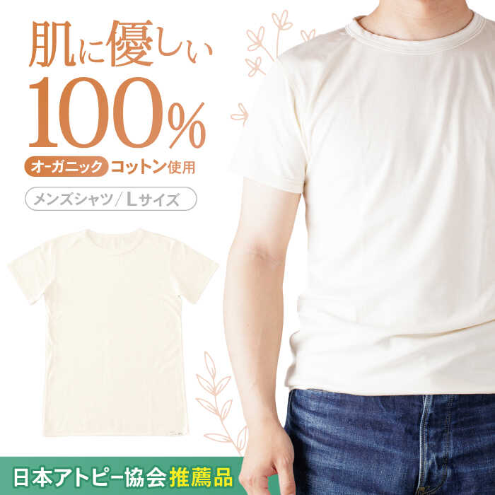 【ふるさと納税】【日本アトピー協会推薦品】オーガニックコットン半袖Tシャツ（メンズ / Lサイズ） / Tシャツ メンズ 綿 オーガニック おーがにっく オーガニックコットン 服 肌着 生成り 半袖 / 諫早市 / 株式会社美泉 [AHAP013]