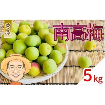 ふるさと納税 かつらぎ町 【秀品】南高梅 青梅 約5kg (+補償100g) 2L以上 カキエモン農園