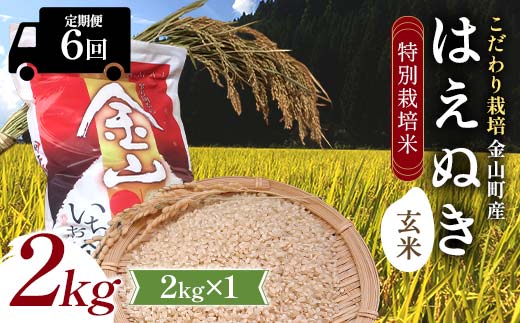 【令和7年産】定期6回 金山町産 特別栽培米 はえぬき 玄米 2kg 米 お米 ご飯 ブランド米 定期便 F4B-0626