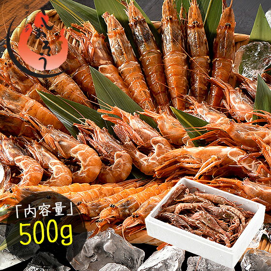 【ふるさと納税】福井県敦賀産 ガラ海老 500g 約35尾入り 船上凍結 冷凍便 【しおそう 塩荘 ガサエビ ガラエビ がさえび がらえび がまえび えび 海老 刺身 生 生食 冷凍 500g お中元 お歳暮 ギフト 贈り物 プレゼント】