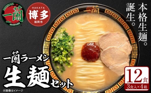 一蘭 ラーメン 生麺セット 12食入 【一蘭総本店】〈2～3か月でお届け〉| 一蘭ラーメン ラーメン 一蘭 生めん 豚骨ラーメン 博多 有名店 とんこつ トンコツ 豚骨 生麺 お取り寄せグルメ 福岡市 九州 博多 グルメ らーめん 拉麺 ramen 人気 ご当地 名店 おすすめ 麺 スープ