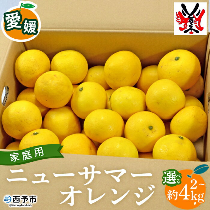 【ふるさと納税】＜愛媛県西予市産 ニューサマーオレンジ 家庭用 約2kg/約4kg＞ 訳あり ワケアリ ご自宅用 果物 フルーツ ミカン 柑橘 日向夏 特産品 選べる 内容量 渡江から一歩を踏み出す会 愛媛県 西予市 【常温】『2026年4月～5月迄に順次出荷予定』