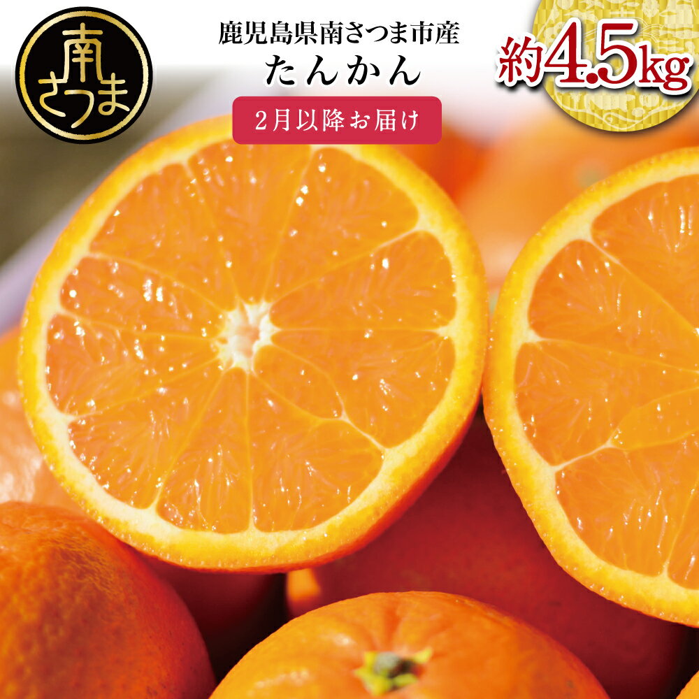 【ふるさと納税】［先行予約］【2026年2月中旬発送開始】鹿児島県産 ブランドたんかん 約4.5kg 柑橘 みかんミカン 蜜柑 かごしまブランド 果物 果実 南国 フルーツ 旬 甘味 ジューシー 期間限定 先行受付 国産 国内産 南さつま市 JA南さつま 送料無料