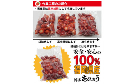 訳あり！博多和牛切り落とし 約500g ＆ 冷凍あまおう 約800g セット 計約1.3kg