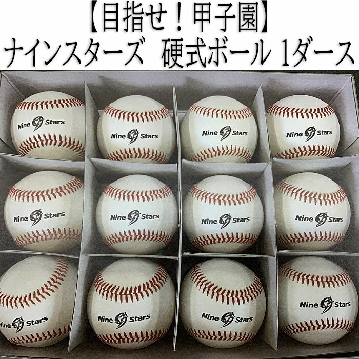 【ふるさと納税】ナインスターズ　硬式ボール 1ダース／野球 ベースボール 野球ボール 硬式 練習球 硬球 硬式球 バッティング練習 トレーニング キャッチボール 守備練習 部活 サークル 社会人野球 草野球