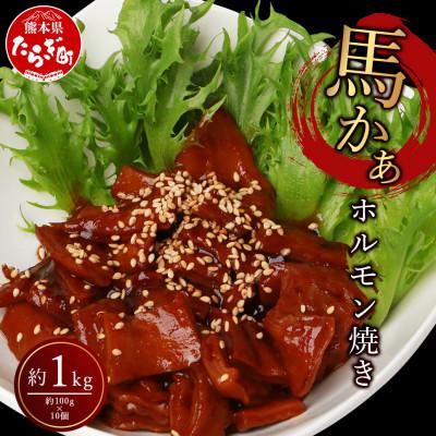 ふるさと納税 多良木町 馬かぁホルモン焼き 10個セット 合計約1kg (約100g×10個)(多良木町)