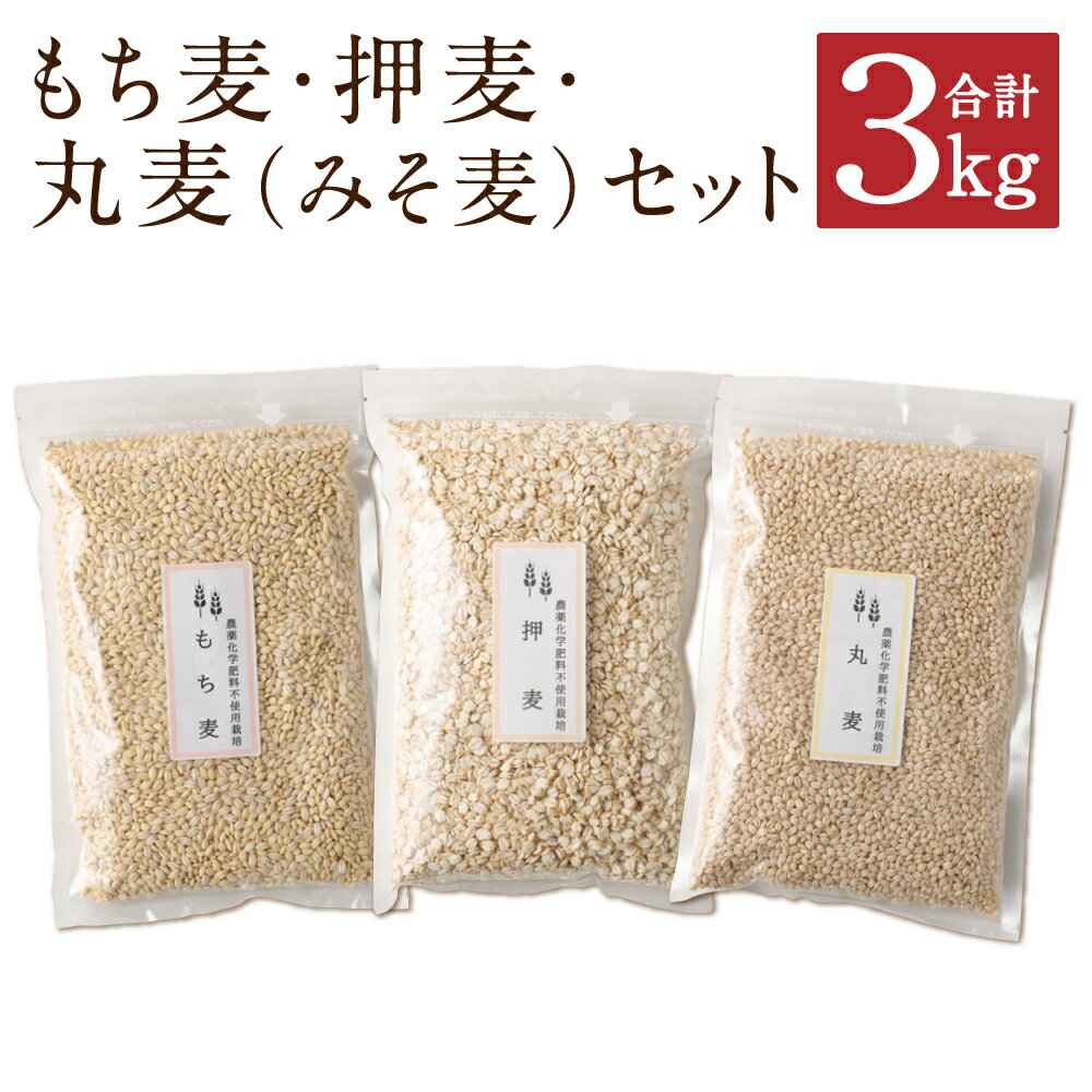 【ふるさと納税】もち麦・押麦・丸麦(みそ麦)セット 3種類 1kg×3個 合計3kg 麦 もち麦 押麦 丸麦 栽培期間中農薬不使用 九州産 福岡県産 国産 送料無料