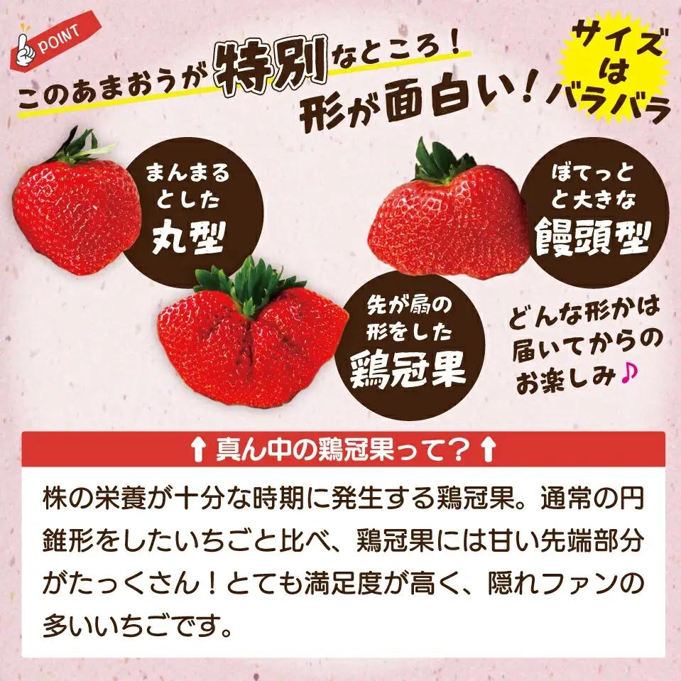 【3回定期便】【2027年2月上旬~4月下旬配送】博多あまおう 250g~270g×4パック[M870-1]