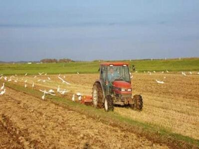 【7年産】野口勘右衛門のお米「安心栽培米（コシヒカリ）」玄米20kg(10kg×2)