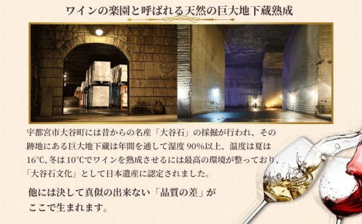 大谷の天然地下蔵で深みを増すワイン 白ワイン・赤ワイン 2本セット【 赤ワイン 白ワイン ロゼ 飲み比べ ギフト 栃木県 宇都宮市 】※配送不可地域：離島