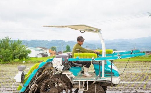 【6ヶ月定期便】日永園 ヒノヒカリ 白米3kg×6ヶ月 【2025年11月下旬より発送予定】 米 お米 ご飯  うきは市