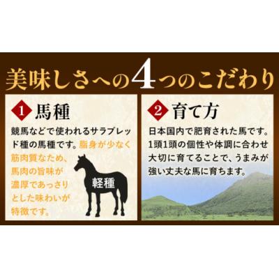 ふるさと納税 氷川町 馬肉 国産 馬刺し と ユッケ の セット約 310g 赤身馬刺し 80g × 2個 馬刺しユッケ