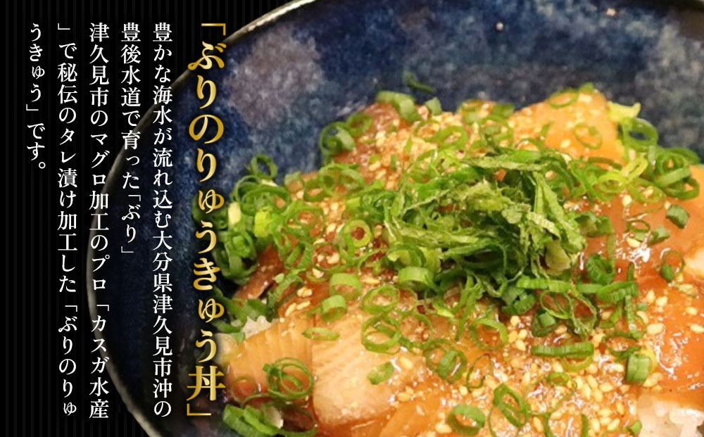 ぶり・まぐろの漬け丼（ひゅうが丼）セットぶりのりゅきゅう100g×4P・まぐろ(ひゅうが丼)120g×4P 鮪丼 まぐろ 大分県産 九州産 津久見市 熨斗対応【tsu000307】